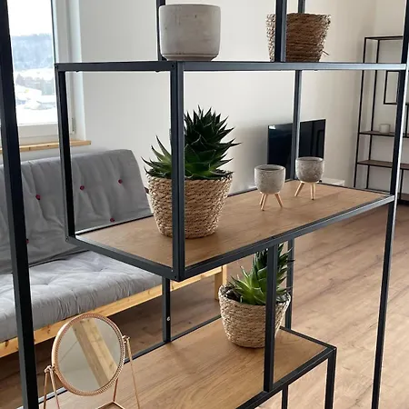 Hohenzollern Wellness Loft Mit Panorama Sauna Apartmán